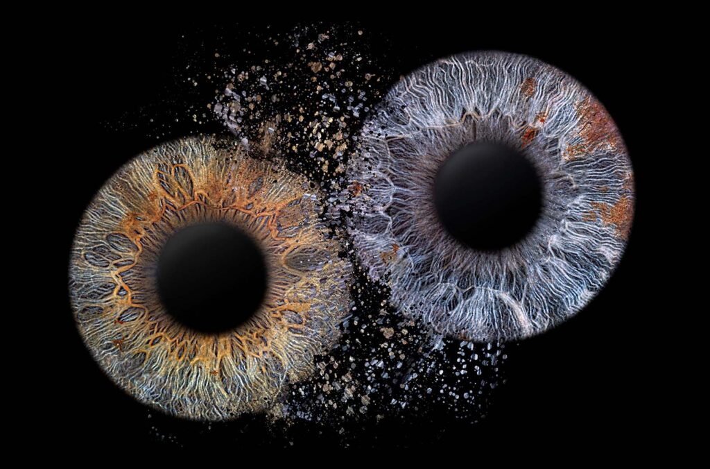 Iris Fotografie aus Wiesbaden | Iris Fotos Rhein Main