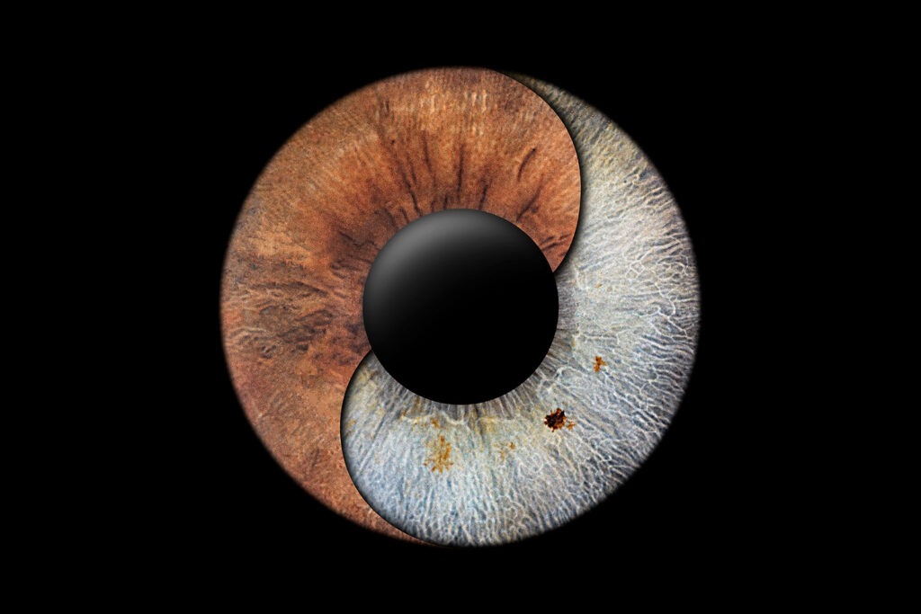 Iris Fotografie aus Wiesbaden | Iris Fotos Rhein Main