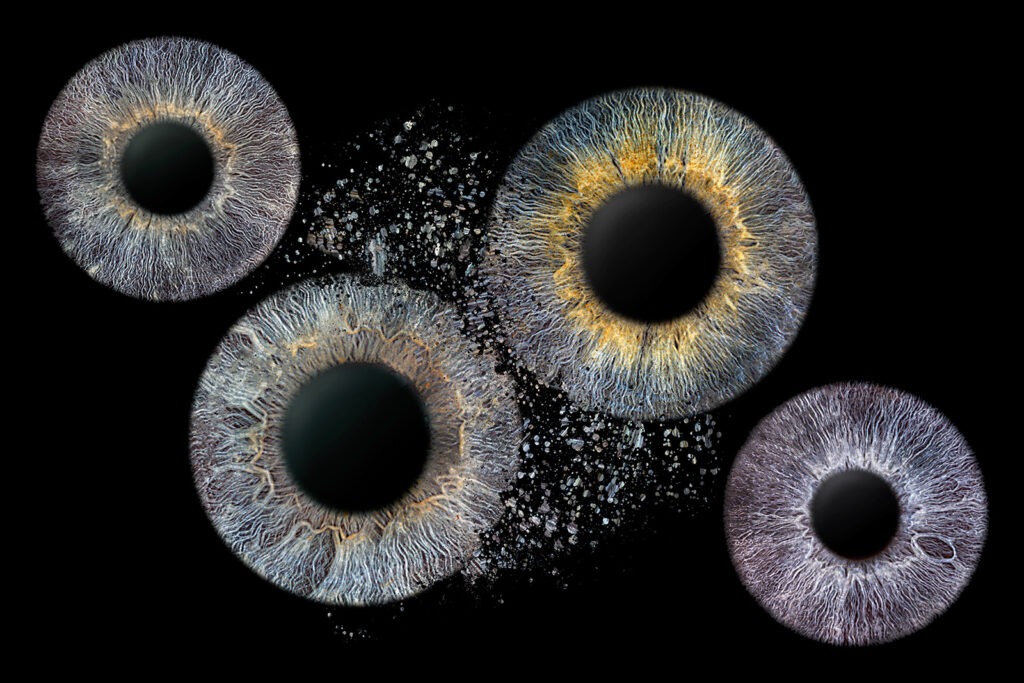 Iris Fotografie aus Wiesbaden | Iris Fotos Rhein Main