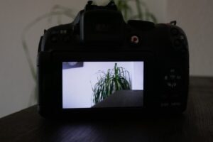 Canon PowerShot SX1 IS 10.0MP Digitalkamera