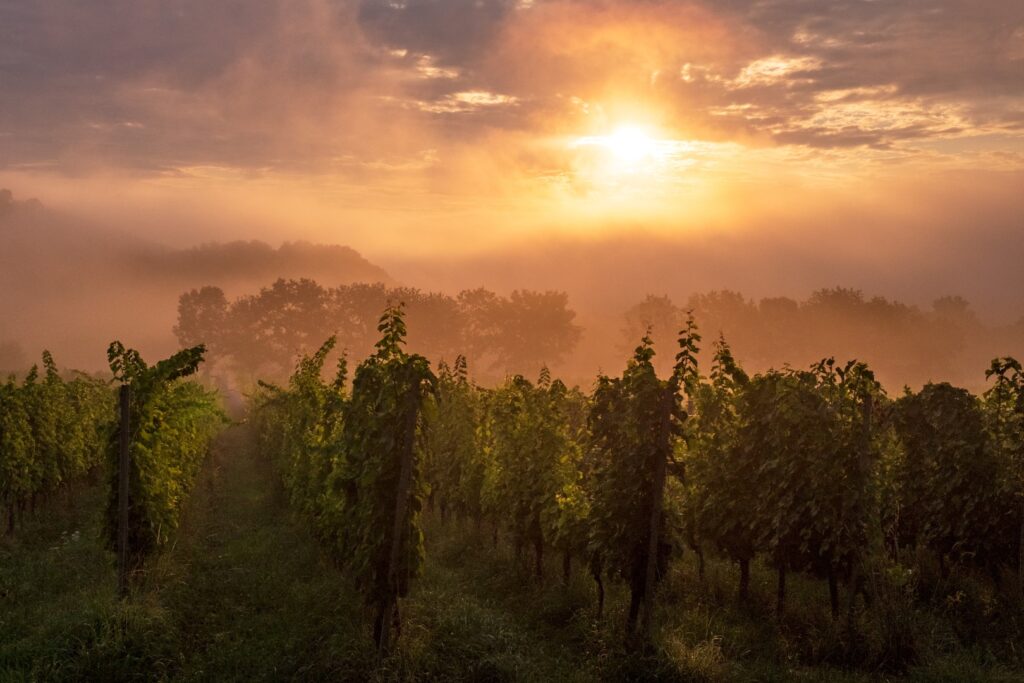 Landschaftsfotos kaufen - Naturfotos kaufen - Poster & Wandbilder in Alu, Acrylglas, Leinwand